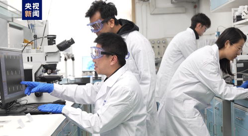 我國科研人員實現二維金屬碲化物材料宏量制備，助力材料科學規模化應用